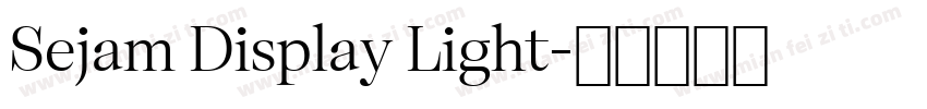 Sejam Display Light字体转换